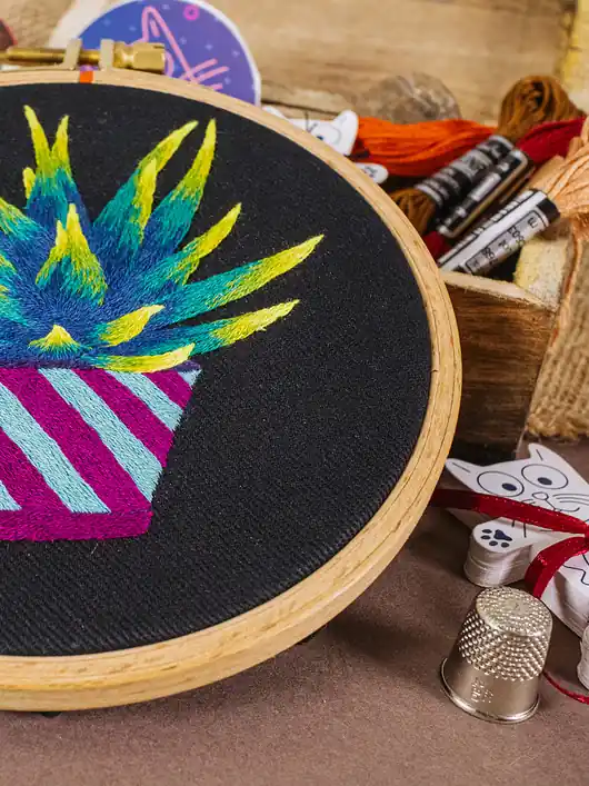 Aloes Wyprzedaż
