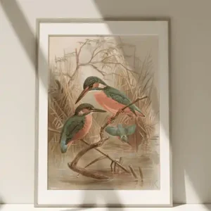 Obraz Plakat Vintage Grafika Retro Ptaki Birds Kup teraz