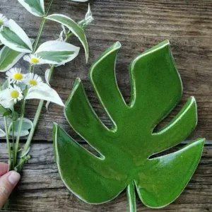 Monstera V Promocja