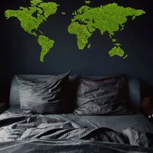 Mapa świata z mchu chrobotka Ekspresowa dostawa