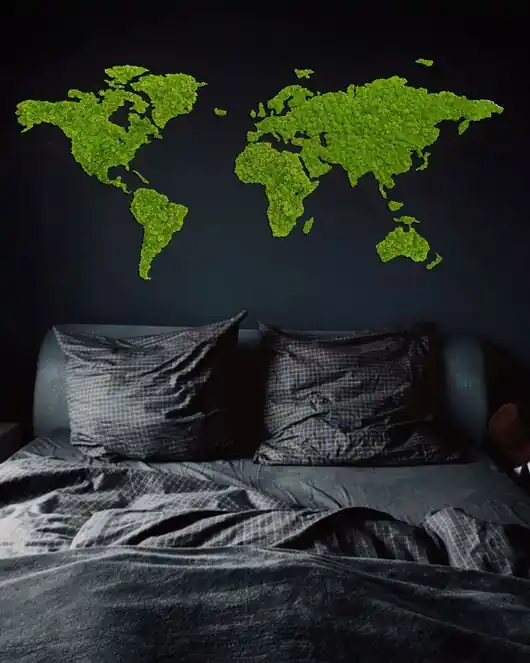 Mapa świata z mchu chrobotka Ekspresowa dostawa