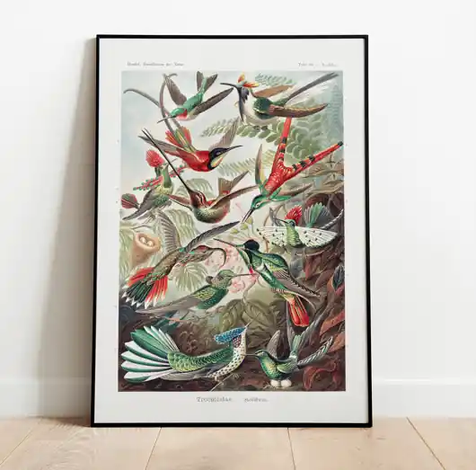 Plakat BIRDS vintage Hit sprzedaży