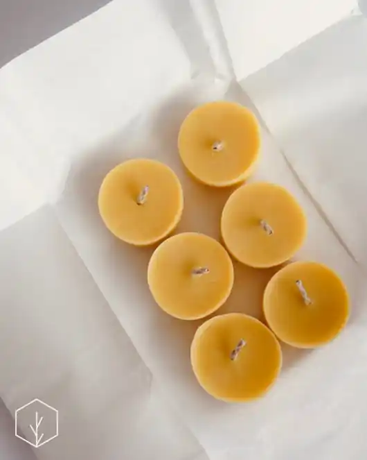 Miodowe Świetliki tealight Zamów teraz