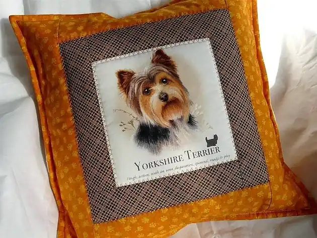 Seria PUPIL Yorkshire Terrier Premium