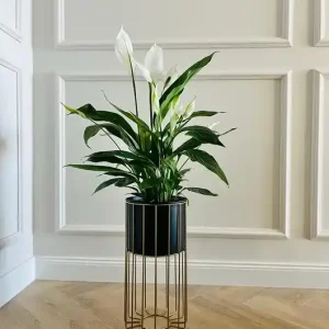 Kwietnik metalowy stojący GOLD Design LOFT 42cm Bezpieczne zakupy