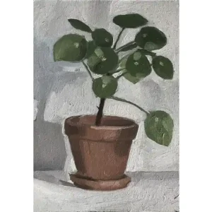 Nowy Pilea - obraz olejny