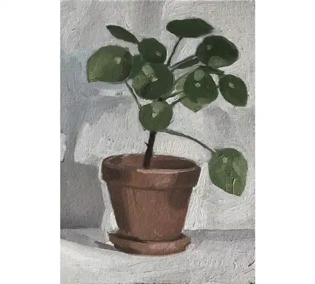 Nowy Pilea - obraz olejny