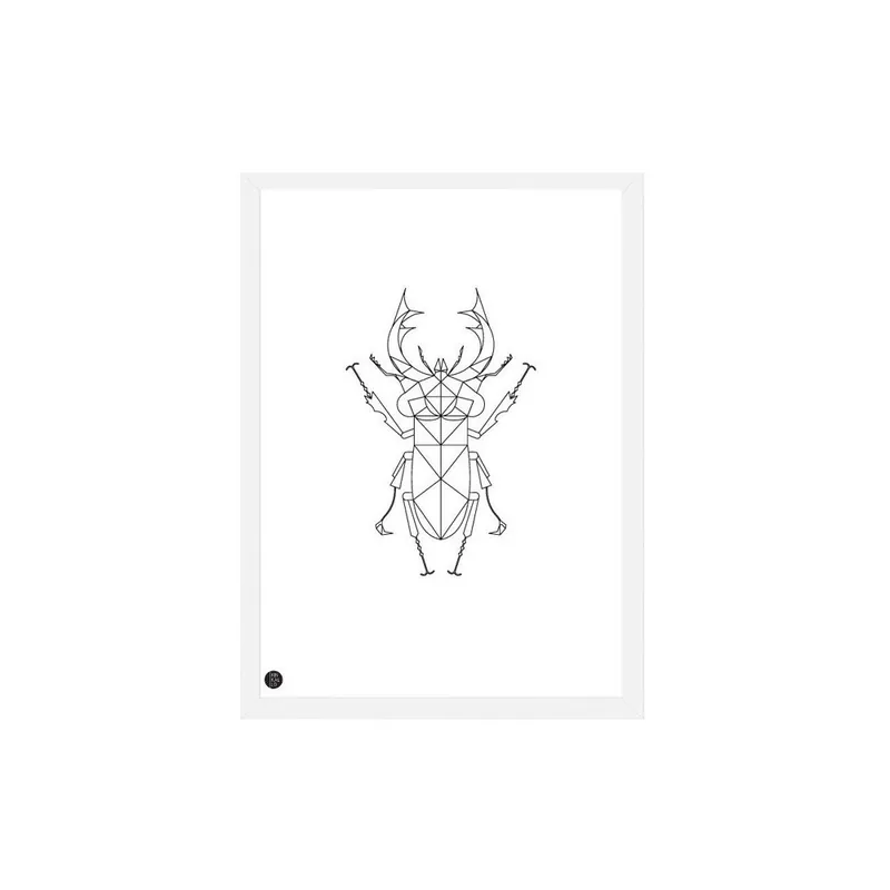 Oferta czasowa Plakat Stag Beetle, 50x70 cm Bonami