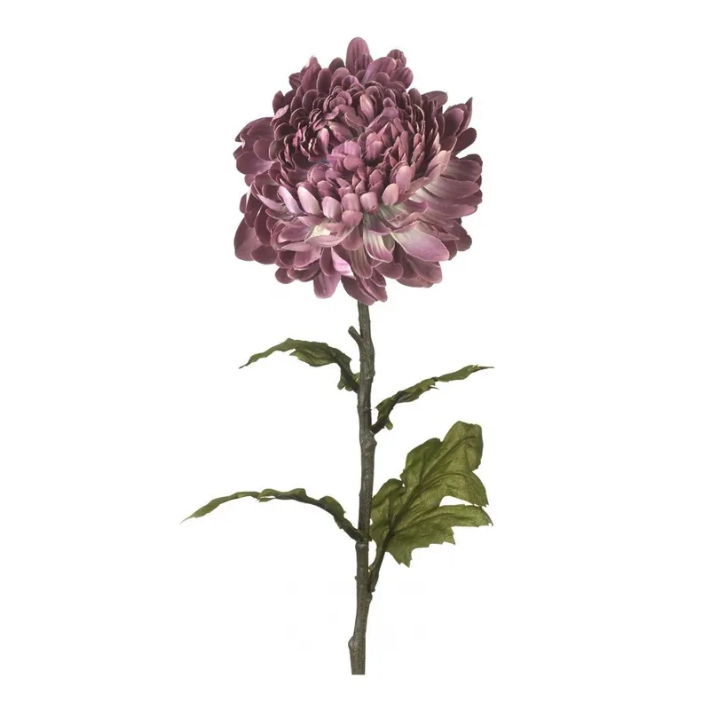 Chryzantema dekoracyjna Light Purple Bonami Zniżka