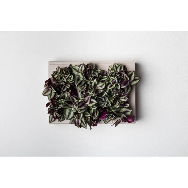 Szybka dostawa Pionowa doniczka HOH! Grigio, 38x27 cm Bonami