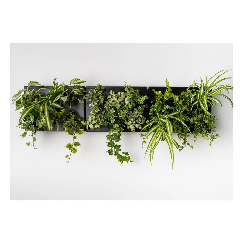 Pionowa doniczka HOH! z niewidzialnym uchwytem Trio Smart Nero, 83x38 cm Bonami Kup teraz