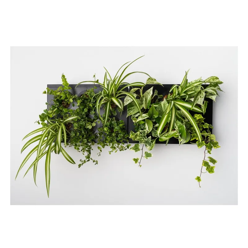 Pionowa doniczka z niewidzialnym uchwytem HOH! Duo Smart Nero, 78x27 cm Bonami Oferta czasowa