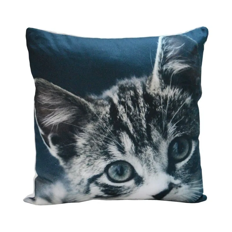 Darmowy zwrot Poduszka Blue Kitty, 45x45 cm Bonami