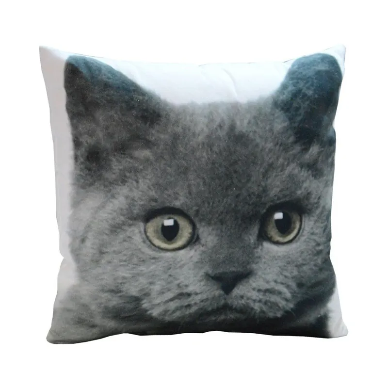 Poduszka Grey Cat, 45x45 cm Bonami Wyprzedaż