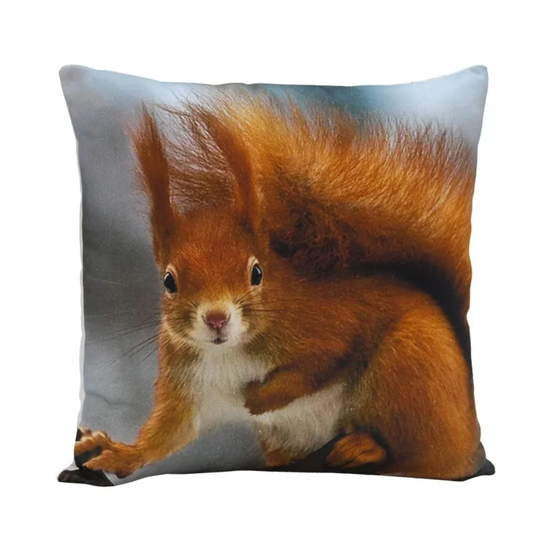 Kup online Poduszka Squirrel Ginger, 45x45 cm Bonami